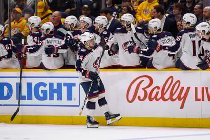 NY Rangers sign forward Trey Fix-Wolansky