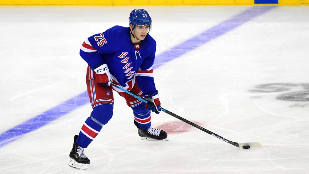 New York Rangers' Libor Hajek plays during an NHL hockey game