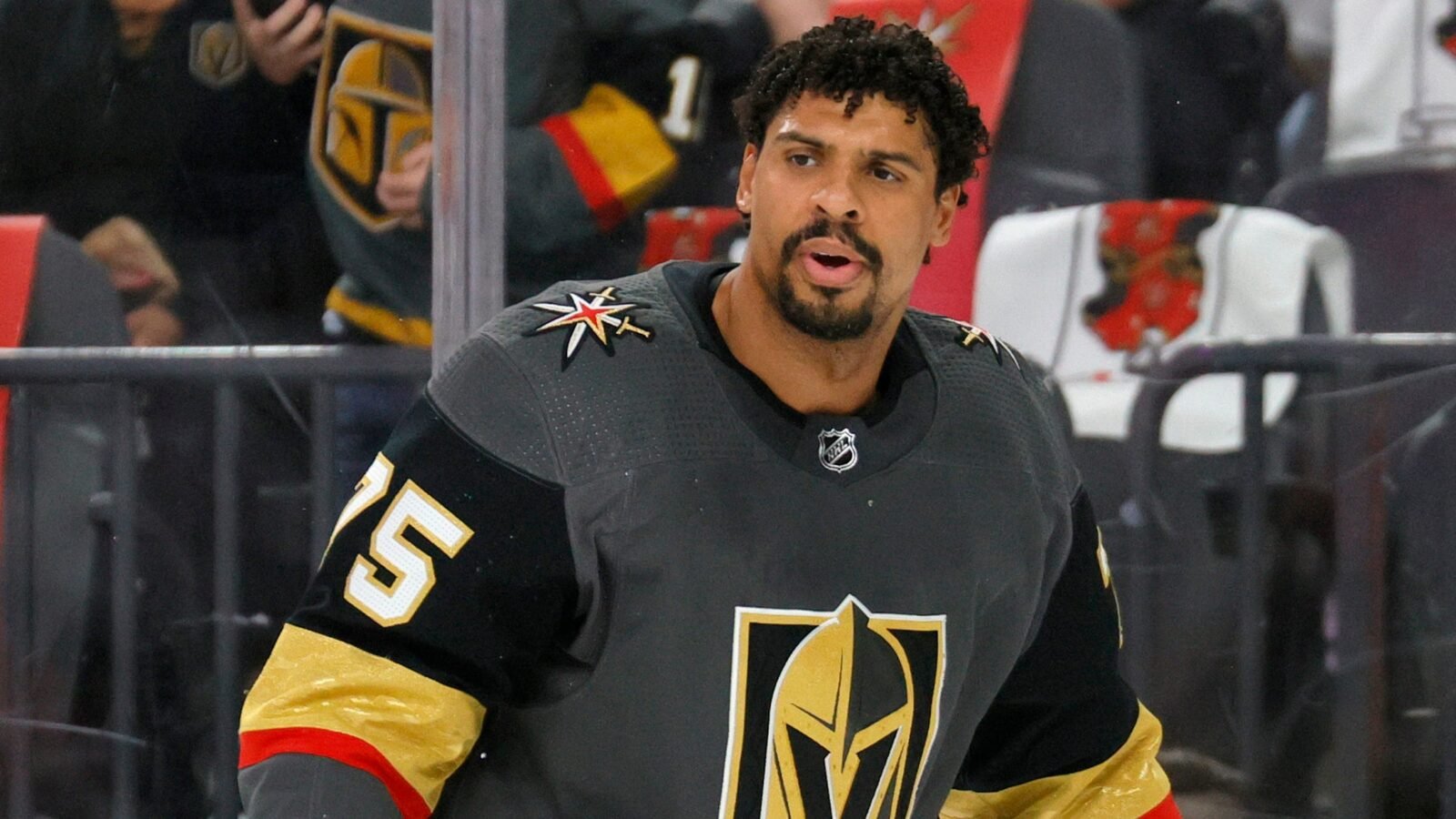 Ryan Reaves Announces Contract Extension On Twitter — VGK Lifestyle