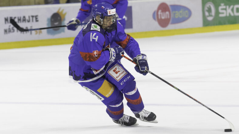 Adam Sykora is one of the NY Rangers prospects to watch